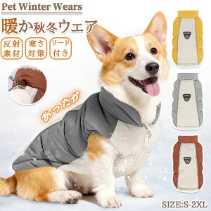  WPbg h 2{ H ~ p[X ybg hR[g pWPbg [ht _炩 h g ӂӂ  hbOEFA t[X  ^  ~ [E