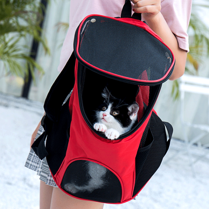 楽天市場】猫キャリー 犬キャリー 子猫 子犬 兎 ペットキャリー 楽天市場】猫キャリー 犬キャリー 子猫 子犬 兎 ペットキャリー