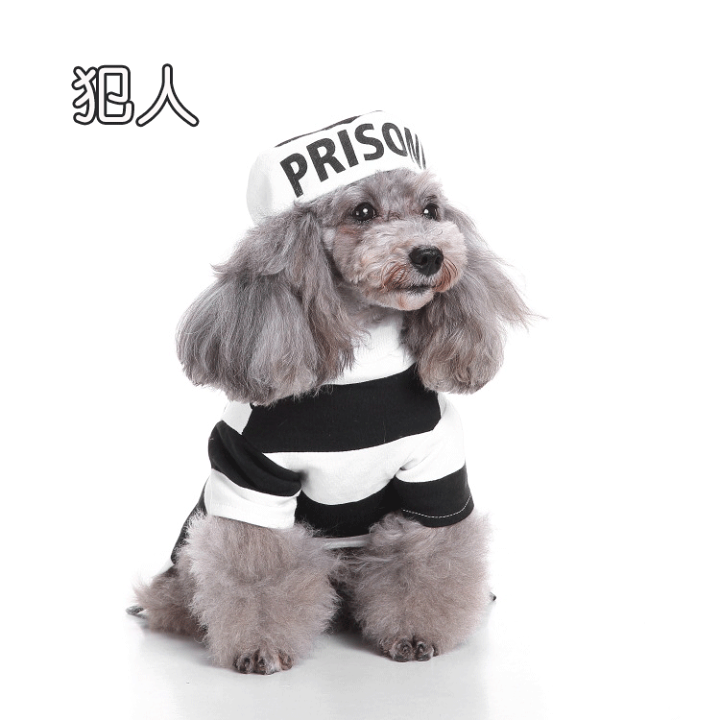楽天市場】犬 コスチューム ハロウィン 2点セット 犬服 警察