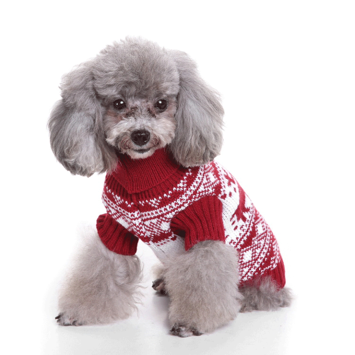楽天市場】クリスマス 犬 服 セーター 新年 ニットセーター