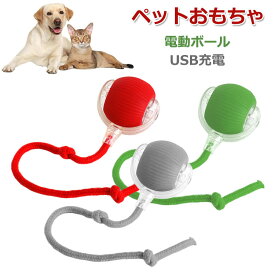 チューイ ウイルス 犬おもちゃ ペット ボール 電動ボール 猫用チューイ ウイルス ローリング 犬用チューイ ボール チューイ スマート自動ローリング ペット ボール 猫ボールおもちゃ USB充電 360 度回転ローリング ボール