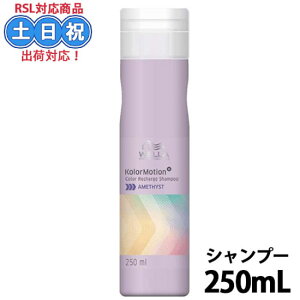 EG J[[V+ AWXgVv[ 250ml eꔄ ނ炳Vv[ TLVv[ J[Vv[ J[PA V Tꔄi eꔄ