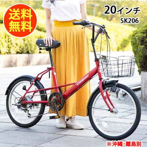 21Technology] NXoCN ~jx a V}m6iϑ VeBTCN 20C` SK206  bh JSt NXoCN ϑ X ʊw ʋ ] JSt  21eNmW