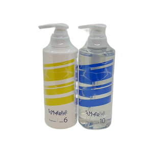 yZbgzf~ RXeBNX DEMI SUMMER BAR T}[o[ Vv[ N[ 10 500ml{ g[gg N[ 6 490g N[Vv[ ⊴  Ђ pT jIC ێ   邨 