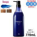 【2日10時~11日26時までPT2倍】ホーユー ソマルカカラーシャンプー カラー シャンプー アッシュ 770ml アッシュシャンプー ヘアカラーシャンプー髪 カラーリング 長持ち 業務用 サロン専売品 サロン 美容室専売