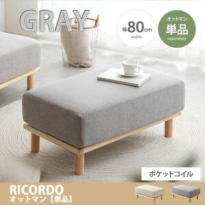 ys×zyqlgݗĕizRicordo Rh \t@ \t@[ Ibg} O[ Xc[ `FA ֎q  1l|`FA k ؍ CeA Ibg}Xc[