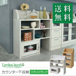 ys×zyqlgݗĕizJKv FLL-0063 JE^[[ XChbN Jg[ f [^[[ Lk^Cv XbN LkbN