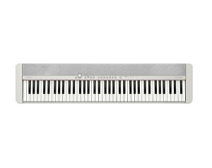 CASIO JVI L[{[h Casiotone CT-S1-76WE 76 zCg