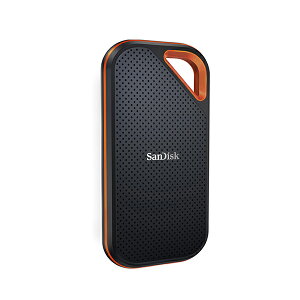 TfBXN GNXg[ v SDSSDE81-4T00-J25 OtSSD USB-C{USB-Aڑ 4TB |[^u^