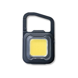 ���T�V WRC23 �[�d�� �҂��� MINI LIGHT �}�b�g�u���b�N WRC23-BK LED �[�d�� �h���Ή�