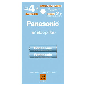 �p�i�\�j�b�N BK4LCD2H �P4�`�j�b�P�����f�d�r / ���C�g���f�� 2�{�p�b�N �G�l���[�v ���C�g BK-4LCD/2H �m2�{�n