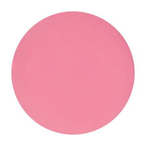 �v���W�F���@PREGEL�@�J���[EX�@PG-CE899 �t�F�A���[�k�[�h