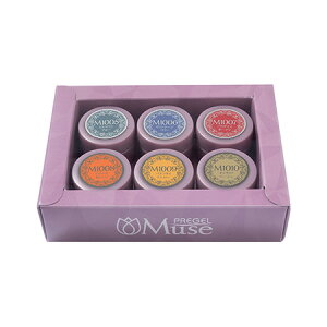 PREGEL �~���[�Y ���B���e�[�W�t���[�� �V���[�Y�@PSU�|6P�|2022C�@6�F�Z�b�g