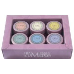 vWF ~[Y XEB[g}J 3g×6FZbg (PSU-6P-2021C)