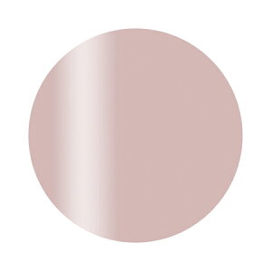 Calgel カルジェル カラージェル プラス ダスティローズ