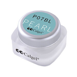 Calgel カルジェル カラージェル プラス  スカイパール P07BL