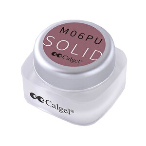 Calgel カルジェル カラージェル プラス ダスティパープル M06PU
