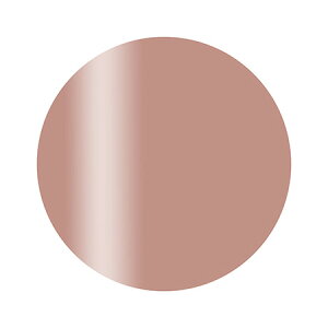 Calgel カルジェル カラージェル プラス S02BR ブラージュ