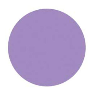 Jewelry jel ジュエリージェル グランデ 4g JG051 リズロン