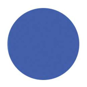 Jewelry jel ジュエリージェル グランデ 4g JG047 ジャンシャーヌ