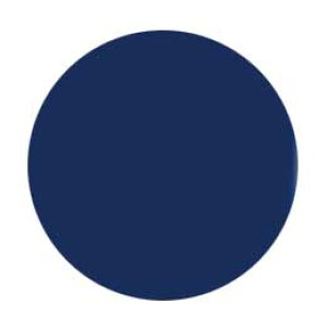 Jewelry jel WG[WF@Of 4g JG042 u[ jC