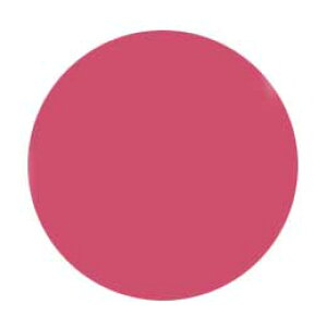 Jewelry jel ジュエリージェル グランデ 4g JG022 カピュシーヌ