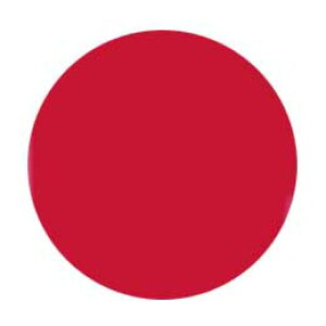 Jewelry jel ジュエリージェル グランデ 4g JG020 エカルラート