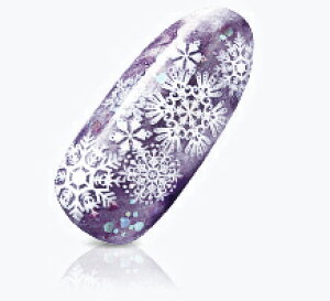 ʃlC MORE Xm[t[N zCg MSF-001