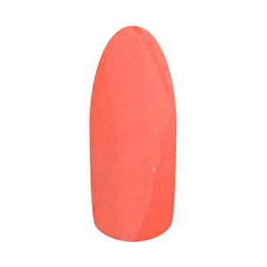 Lily gel J[WF NV[Y C02@