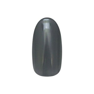 ネイルパフェ クリアカラージェル C21 ブルージュ