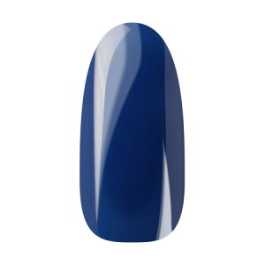 Ann Professional �A���v���t�F�b�V���i�� �J���[�W�F�� 095�@�I�[�^���u���[