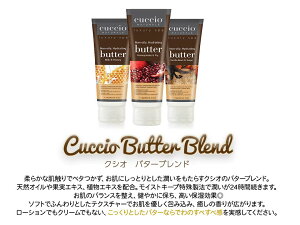 CUCCIO @NVI@o^[uh`[u 113g