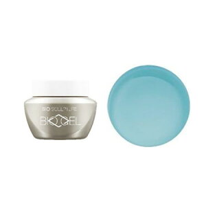 Bio Sculpture Gel シーラージェル N2 4.5g