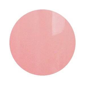 Putiel プティール カラージェル アプリコットチュール 282 4g