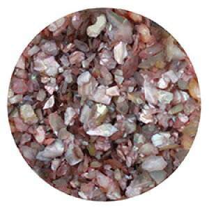 GveB VRNbVVFiNAP[Xj I[hCbN@B204@VF@Lk