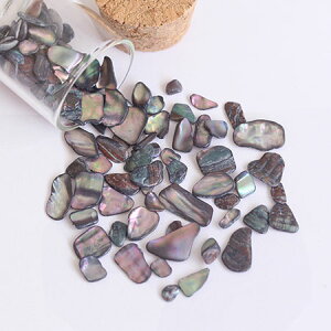 SHAREYDVA Vh@OXVF O[@5g