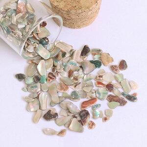 SHAREYDVA �V�����h���@�O���X�V�F�� �i�`�������@S�@5g