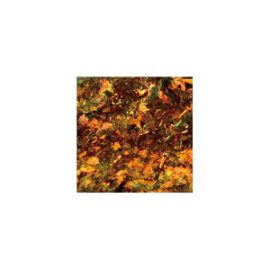 ageha AQn@z&t[N @I[t[NMIX@H|4