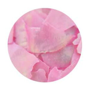 SARURU �n�s�z�� HG-150 �V�F���s���N