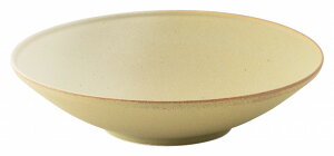 tBm f[CG[ 20cm{E KOYO m m 13623012 H  킢  Ɩp H@Ή {