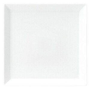 ~[ 20.5cmXNGA[v[g KOYO m m 19700064 H  킢  Ɩp H@Ή {