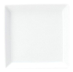 ~[ 13.5cmXNGA[v[g KOYO m m 19700067 H  킢  Ɩp H@Ή {