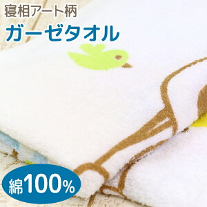 K[[oX^I@120×60cm@y`zyQA[gɁIz