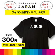 アイロン 熱転写 プリントシート 熱圧着 オリジナル Tシャツ カッティング 切り文字 布 生地 イベント ユ…