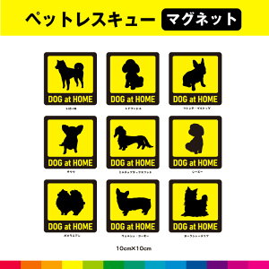 ybgXL[ }Olbg     dog ybg ~ ЊQ ӊN x ڈ Vv CG[ 10cm×10cm Iׂ  