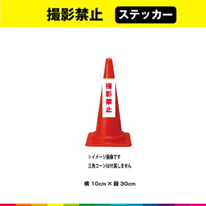 Be֎~ XebJ[ V[ ̂ c30cm×10cm Z ԕ  ӊN ʐ  ڗ Vv Op ό UVJbg~l[g 