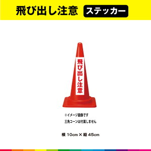 яo XebJ[ V[ ̂ c45cm×10cm Z ԕ  ӊN ʐ ڗ Vv Op ό UVJbg~l[g