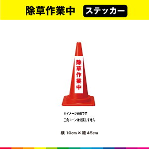 ƒ XebJ[ V[ ̂ c45cm×10cm Z ԕ  ӊN ʐ ڗ Vv Op ό UVJbg~l[g