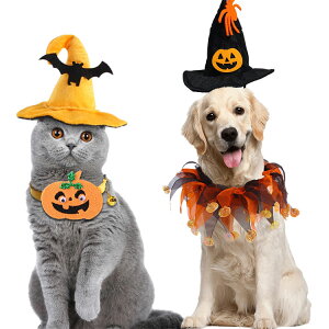 ynEBznEB RX`[ ybg   RXv L lR   hbO hbOEGA L ϐg t v[g ϐg ^  CX^f SNS 