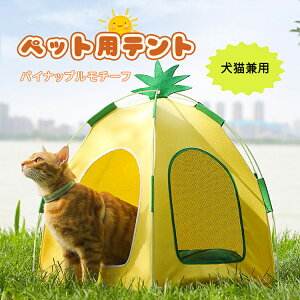 Lbgeg Lp ybg p Qꏊ eg  ^ qL  Ck ˂  lR ܂肽 y [ 